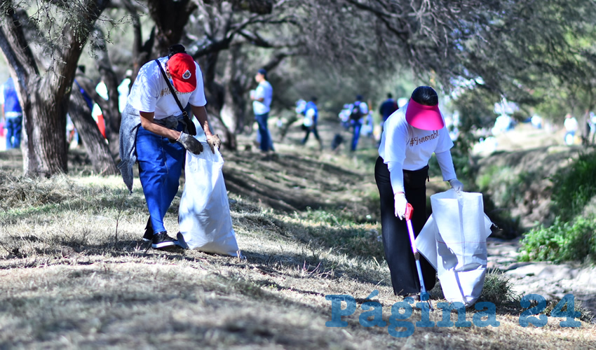 En conjunto con vecinos, asociaciones civiles e instituciones educativas, se retiran residuos sólidos, se realiza desmalezado de las orillas de los cauces, podas y reforestación