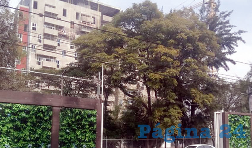 Oídos sordos: Al momento, en El Gran San Rafael se les ha permitido a los constructores continuar con la obra, esto, tras colocar sellos de forma “simulada” que les ha dado opción para entrar y salir del complejo, así como de seguir haciendo movimientos de tierra