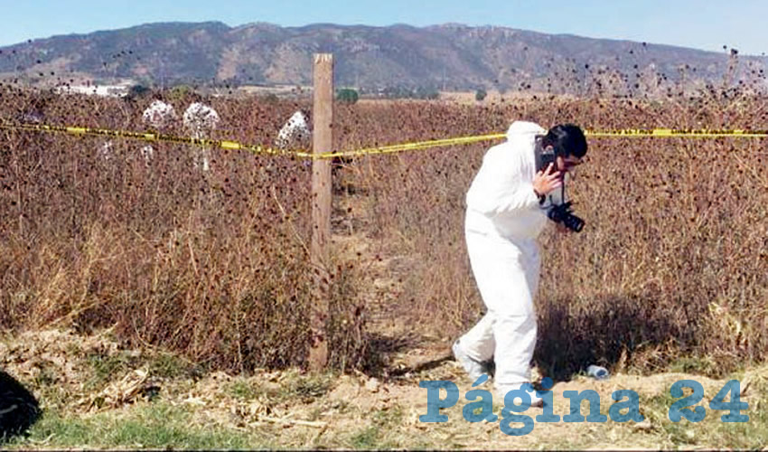 La narcofosa se ubica en un predio que se localiza a cinco kilómetros del Rancho El Crespo/Fotos: Especial