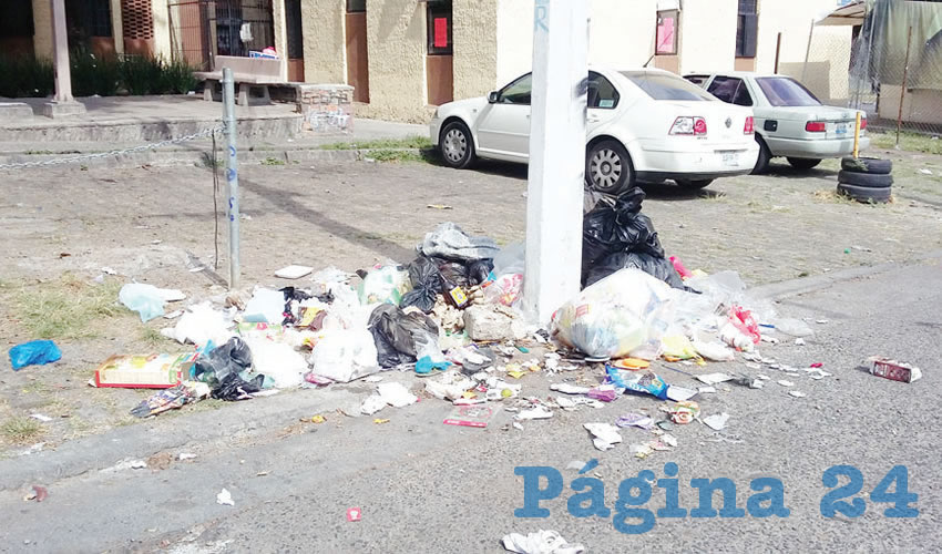 Según vecinos, el problema radica en que no hay forma de que los vecinos puedan dejar su basura para que trabajadores se la lleven, pues faltan contenedores. Por otro, son los mismos habitantes quienes abandonan sus desechos a la intemperie, y no son castigados/Fotos: Francisco Tapia