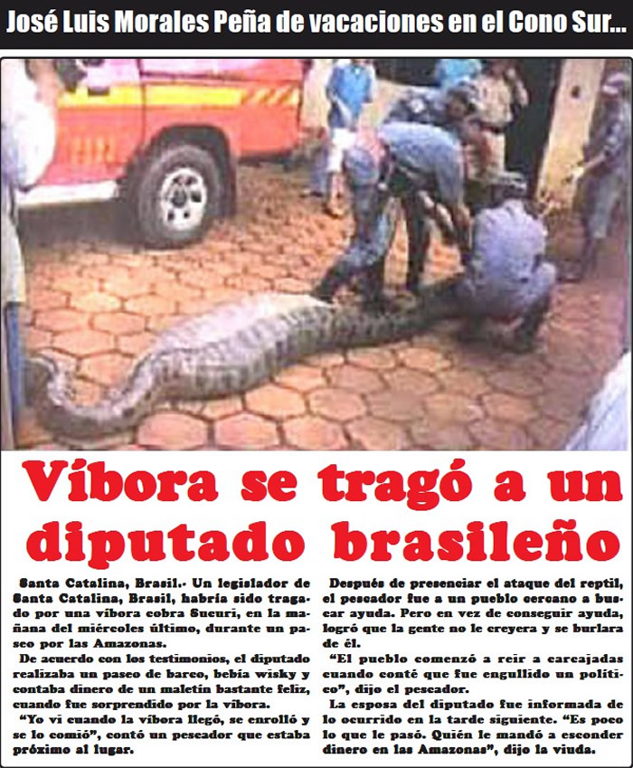 (Fotos: Archivo/P&aacute;gina 24)