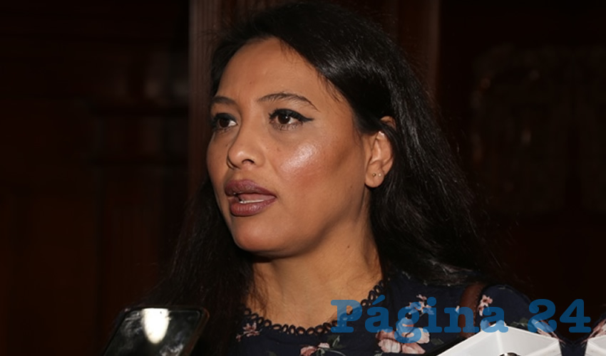 &Eacute;rica Palomino Bernal, diputada local (Foto: Archivo)