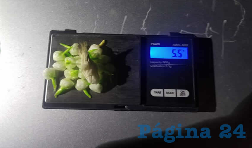 Las 20 dosis de “crystal” decomisadas a Juana “N” “N”