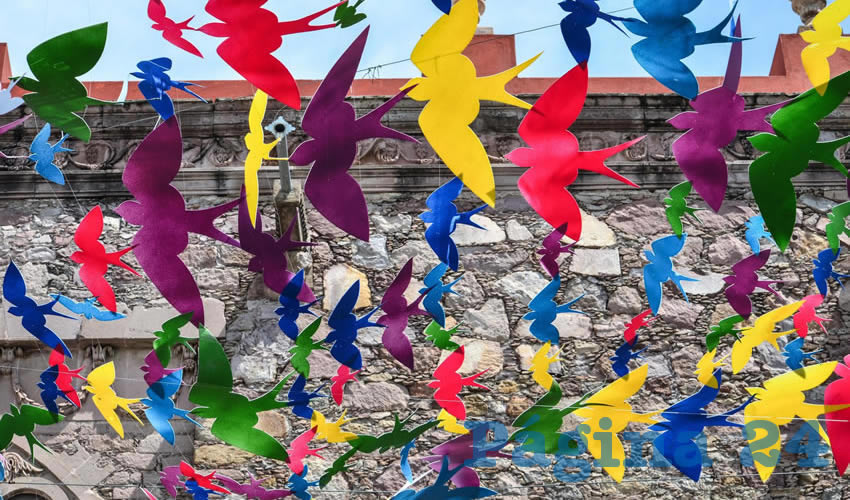 La justificación del proyecto deberá estar relacionada con la vida cultural de Aguascalientes