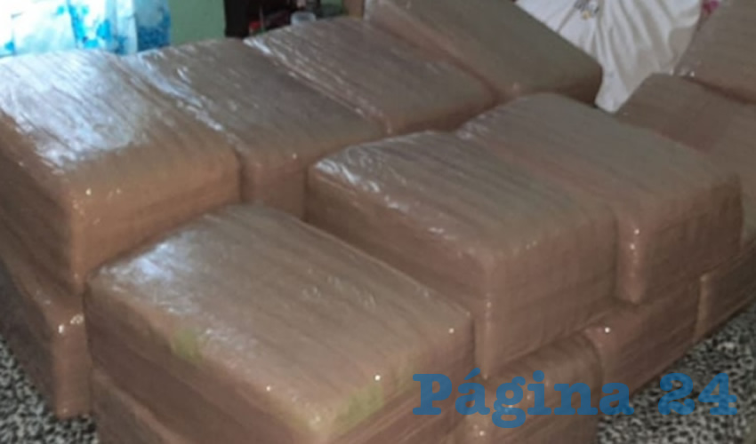 La droga tiene un valor superior a los nueve millones de pesos, asegur&oacute; la SSPE
