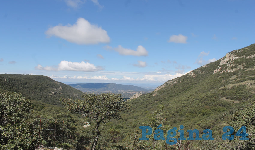 Se contin&uacute;a con los recorridos de supervisi&oacute;n de los guardias forestales como medida preventiva para poder ubicar puntos vulnerables de siniestro