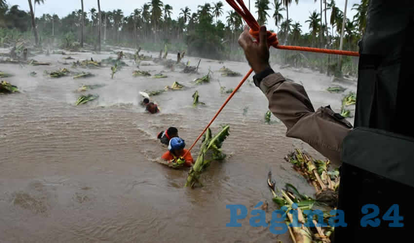 En septiembre pasado, tras el desbordamiento del Río Marabasco –que marca los límites territoriales entre los municipios de Manzanillo, Colima, y Cihuatlán, Jalisco–, se perdió una superficie de alrededor de 3 mil 500 hectáreas de cultivo de plátano en ambas márgenes/Foto: Facebook @PCJalisco19 