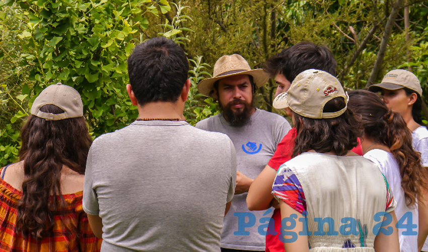 El objetivo es difundir y promover las diversas t&eacute;cnicas para la producci&oacute;n de frutas y vegetales en casa