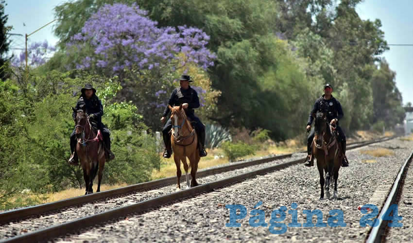La policía montada realiza recorridos preventivos para mantener la tranquilidad