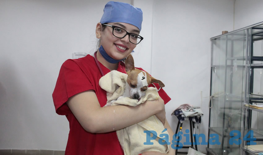 Se impartirán las pláticas de cuidados post operatorios y la entrega de fichas a los propietarios de mascotas interesados