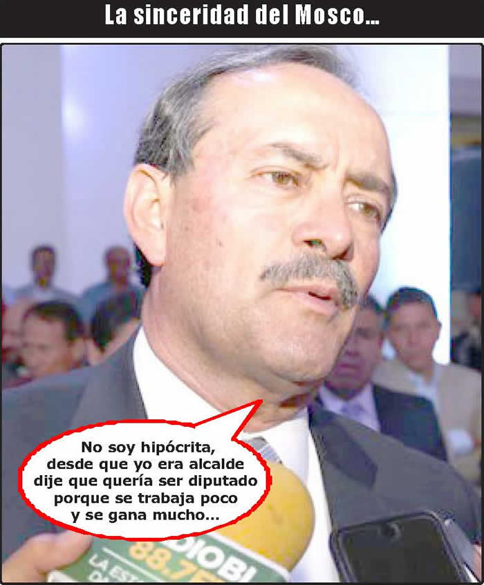 (Fotos: Archivo/P&aacute;gina 24)