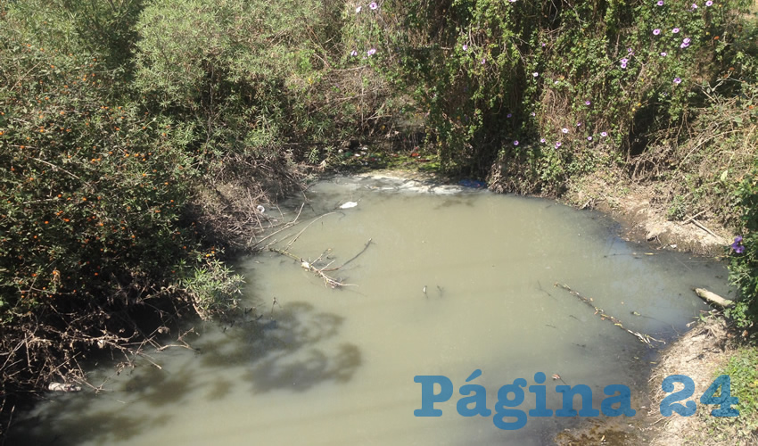 Antes de la instalación de las empresas en el corredor industrial, el agua que corría por el canal era limpia, lo que ha cambiado dramáticamente, generando la muerte de peces y enfermando a miles de personas