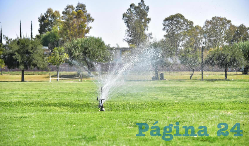 Este aprovechamiento permite ahorrar agua y destinarla a otras tareas, adem&aacute;s de conservar en buenas condiciones las &aacute;reas verdes