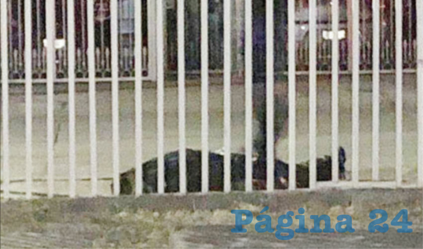 De acuerdo con testigos, el cadáver estaba envuelto en bolsas negras, y tenía cinta gris atada a la altura de la cabeza. Peritos forenses se presentaron para recabar indicios y trasladar el cadáver al anfiteatro/Foto: Especial