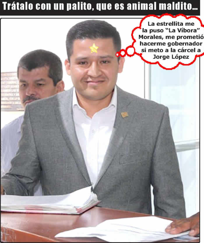 (Fotos: Archivo/P&aacute;gina 24)