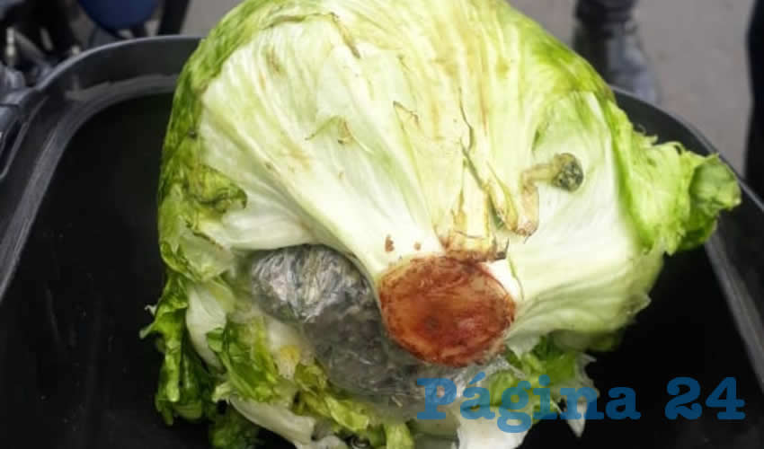 En una lechuga, un sujeto escondi&oacute; envoltorios con cannabis