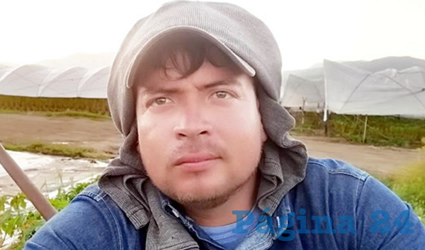 Álvaro Gurubel García perdió la vida en uno de los campos de cultivo de Berrymex, filial de Reiter Affiliated Companies, el pasado 7 de enero/Foto: Especial