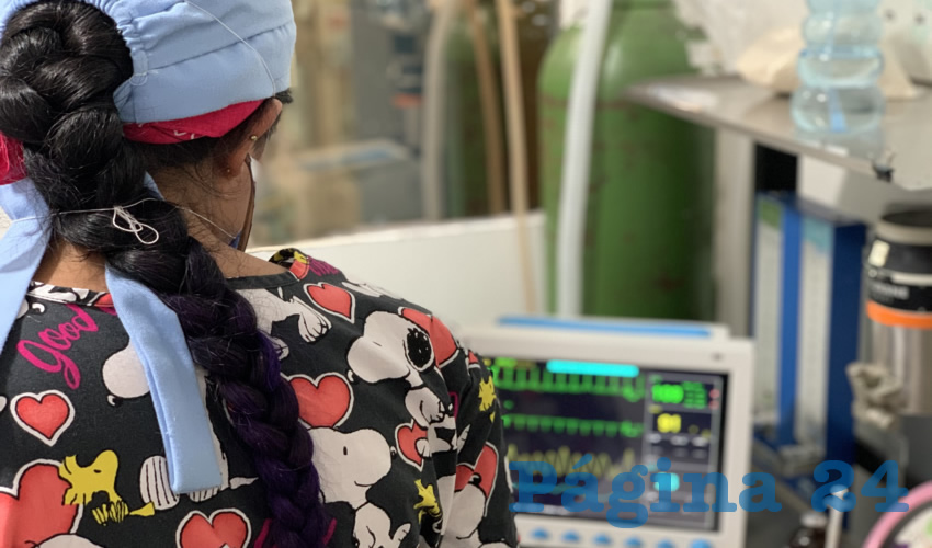 La Clínica APA ofrece servicios veterinarios y esterilizaciones a bajo costo, siendo esta la única clínica en su tipo en todo el estado de Aguascalientes