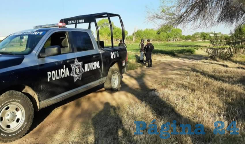 La zona del hallazgo
