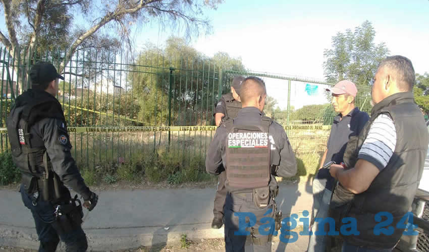 Un peatón fue el que descubrió el cadáver que colgaba de un árbol