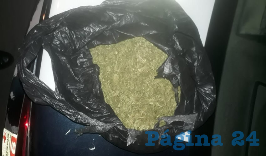 La cannabis decomisada al narquillo Omar &ldquo;N&rdquo; &ldquo;N&rdquo;, de 22 a&ntilde;os de edad