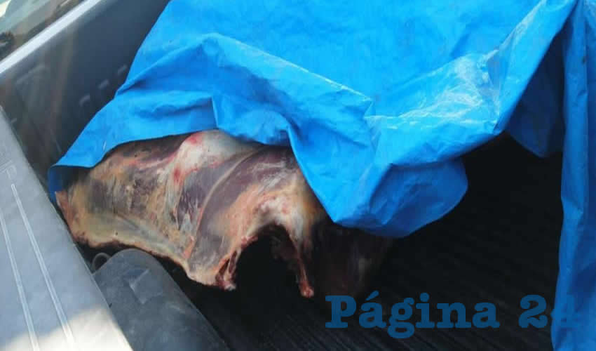 La carne canal fue decomisada en la carretera federal 45, en la Puerta de Acceso Sur