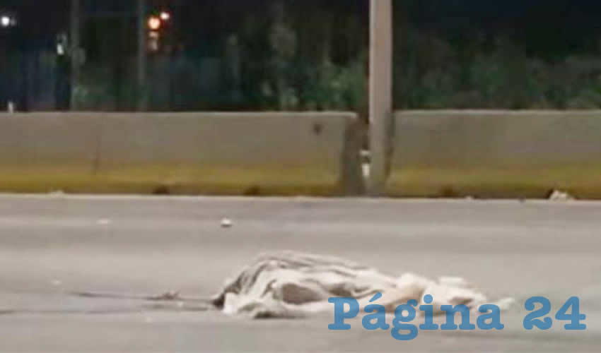 Metros más adelante del lugar del accidente, la policía encontró abandonada la camioneta Cherokee de modelo reciente con el frente destrozado/Foto: Especial