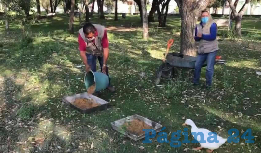 Los centros cuentan con varias cuadrillas de trabajadores, quienes dan mantenimiento, limpieza y riego a las &aacute;reas verdes
