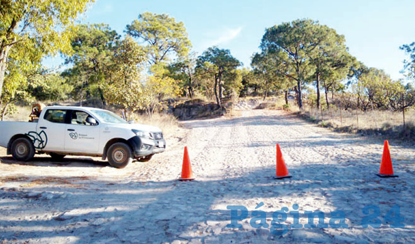 Aun con la cuarentena hubo quien se aventuró al bosque la Primavera o a otro sitio natural de Jalisco; sin embargo, se topó con cierres de caminos, rondines de policías y guardabosques, y llamados a quedarse en su domicilio/Foto: Cortesía