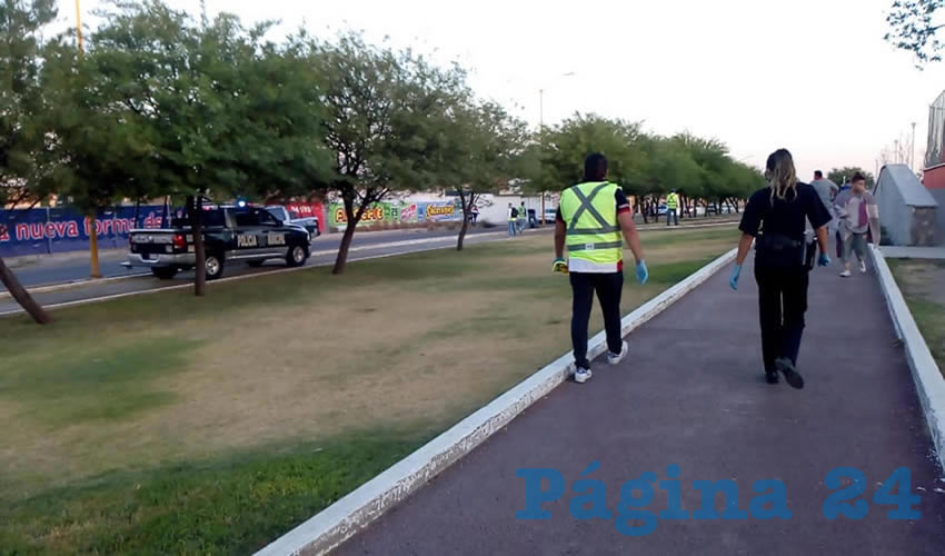 Se realizan operativos de vigilancia no s&oacute;lo v&iacute;a terrestre sino tambi&eacute;n a bordo del Helic&oacute;ptero Halc&oacute;n I