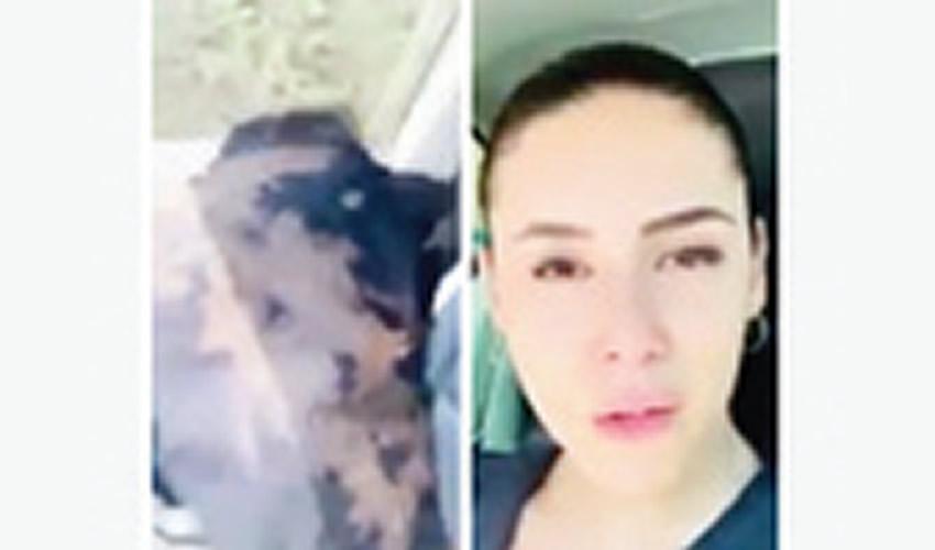 Una enfermera, identificada como Paulina Orozco, denunció en su red social Facebook que el pasado lunes 20, al salir del Hospital Ángel Leaño, dedicado a atender a personas enfermas con COVID-19, fue bañada con cloro por los ocupantes de una camioneta Toyota/Foto: Tomada de video
