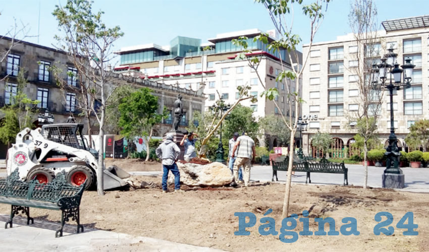 Trabajadores municipales comenzaron con la siembra en Plaza de Armas, y la intención es extender la reforestación hacia el Jardín San Francisco y el Paseo Alcalde/Fotos: Francisco Tapia