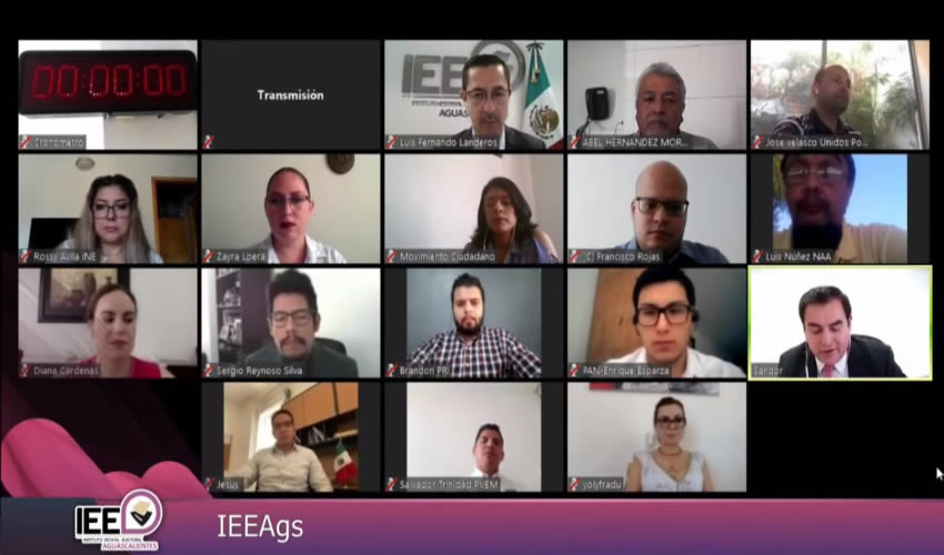 Conferencia virtual del IEE