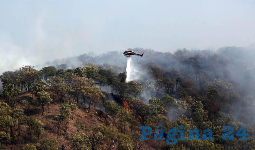 El aumento del periodo de veda aplicará para todo terreno, mientras que cuando se trate de una área natural protegida simplemente no habrá posibilidad de hacer cambio de uso de suelo, y por el contrario se deberá llevar a cabo una restauración de la zona/Fotos: Cuartoscuro