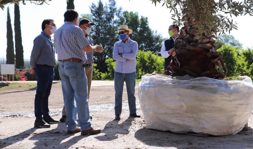 Uno de los pilares de la administración del gobernador Martín Orozco Sandoval es el impulso al campo a través del uso eficiente del agua