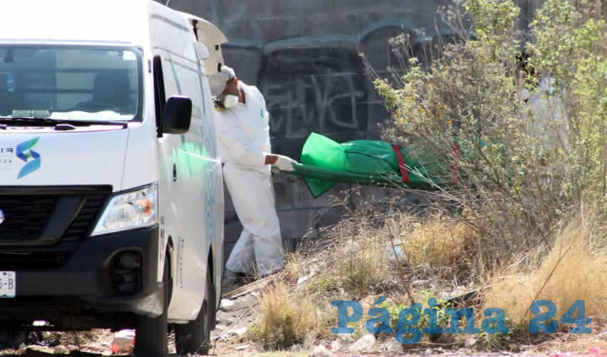 El crimen se cometió en un lote baldío situado en la finalización de la avenida Paseo del Puertecito, en el fraccionamiento Villas del Río