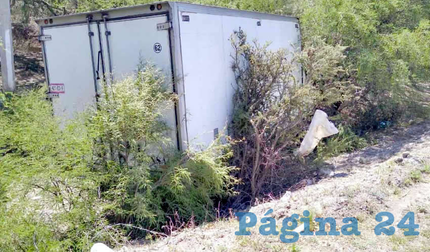 La unidad Hino cay&oacute; a un desnivel y se estrell&oacute; contra un &aacute;rbol
