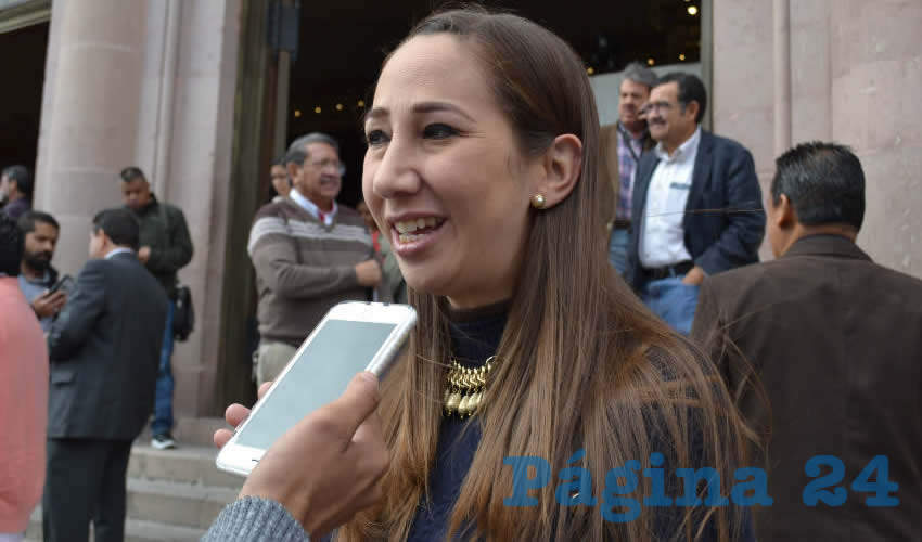 Noemí Luna Ayala, dirigente estatal del Partido Acción Nacional (PAN) (Foto Archivo Página 24)