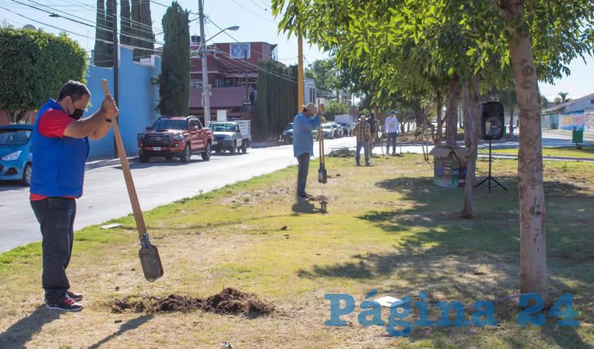 Se aprovechar&aacute; la temporada de lluvias para que las especies tengan mayor oportunidad de sobrevivir y crecer, propiciando as&iacute; un mayor n&uacute;mero de &aacute;reas verdes