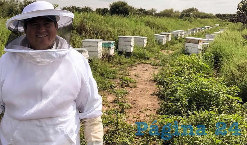Se trata de la entrega de 150 toneladas de suplementos alimenticios para estos insectos