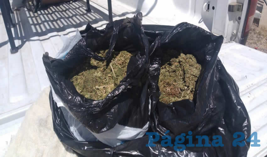 Las dos bolsas con la hierba, que estuvo a punto de distribuirse entre j&oacute;venes del fraccionamiento Arboledas