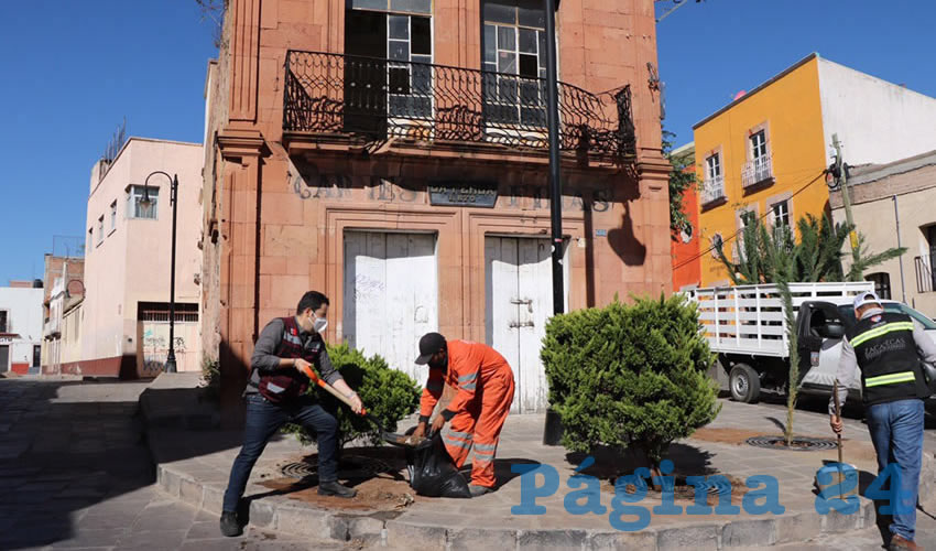 El alcalde capitalino agradeció a su equipo de colaboradores por su constante labor en el mantenimiento de La Joya Corona, así como a la Conafor por su disposición de trabajar conjuntamente