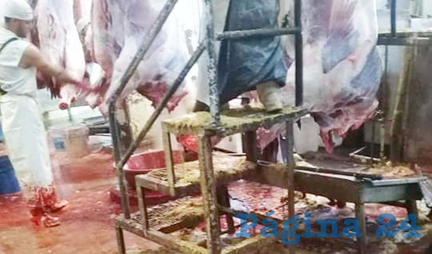 Vísceras y otras partes del ganado se arrojan al piso, lo que representa un peligro para los trabajadores del área de sacrificio, puesto que pueden resbalarse. Además, son un foco de infección para el personal y los consumidores de carne