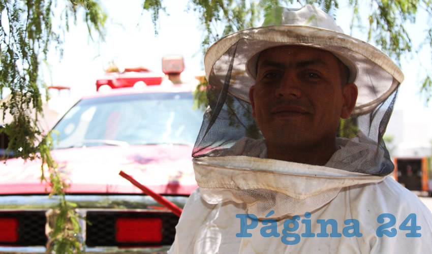 Se exhorta a la poblaci&oacute;n a no molestar a las abejas, ya que de sentirse agredidas podr&iacute;an atacar de manera inesperada