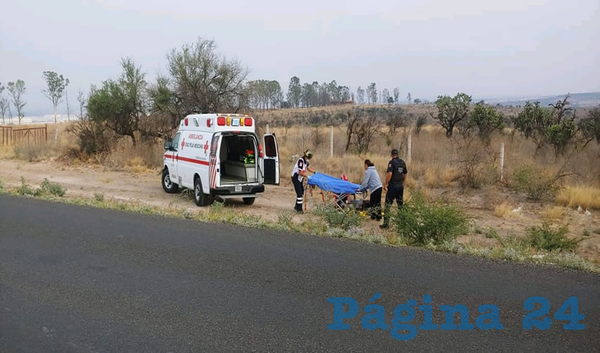 El pedalista fue víctima del peligroso cafre sobre la carretera estatal 77, entre Los Arellano y El Retoño