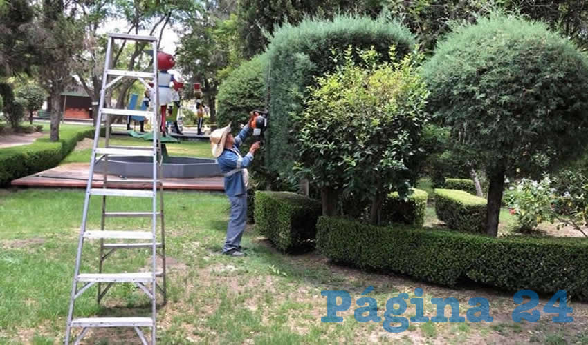 De martes a domingo, los trabajadores se dedican a hacer labores de reparación y jardinería