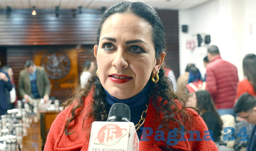 Lizbeth Márquez Álvarez, diputada migrante (Foto: Archivo Página 24)