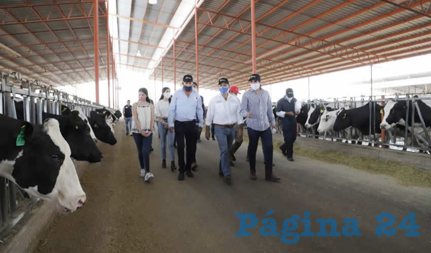Los insumos de Agropecuaria El Gigante son utilizados para producir yogurt, quesos y sustitutos prote&iacute;nicos que son comercializados por el Grupo SIGMA