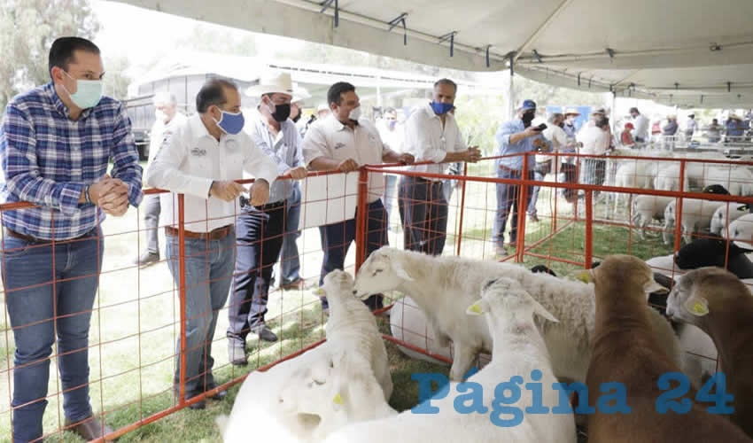 Se realizó una exhibición de ganado donde los productores tuvieron la oportunidad de elegir directamente el ejemplar para incorporarlo a su hato