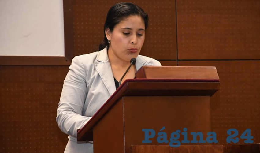 Alma Gloria Dávila Luévano, diputada local por el Partido Movimiento Regeneración Nacional (Foto: Archivo Página 24)
